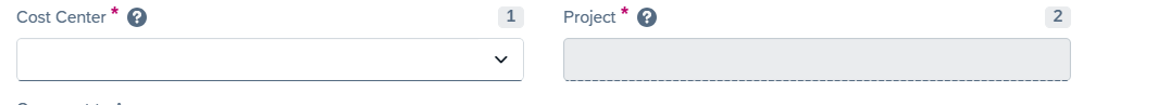 Screenshot of the Cost Center and Project fields